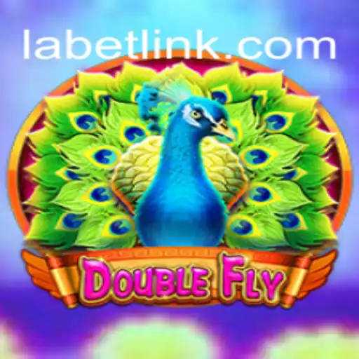 DoubleFly: An Exciting Fusion of Strategy and Adventure